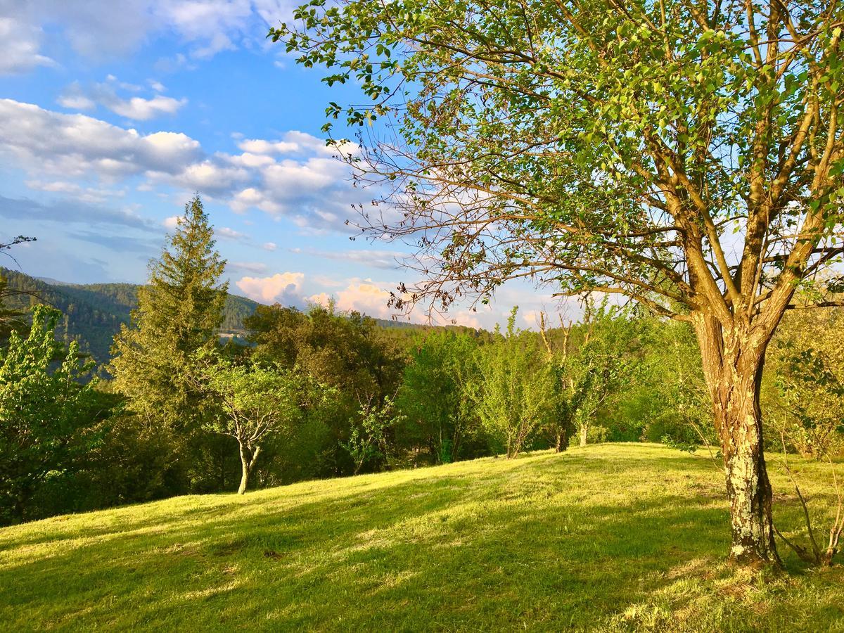 Gite de La Jasse Chamborigaud Esterno foto